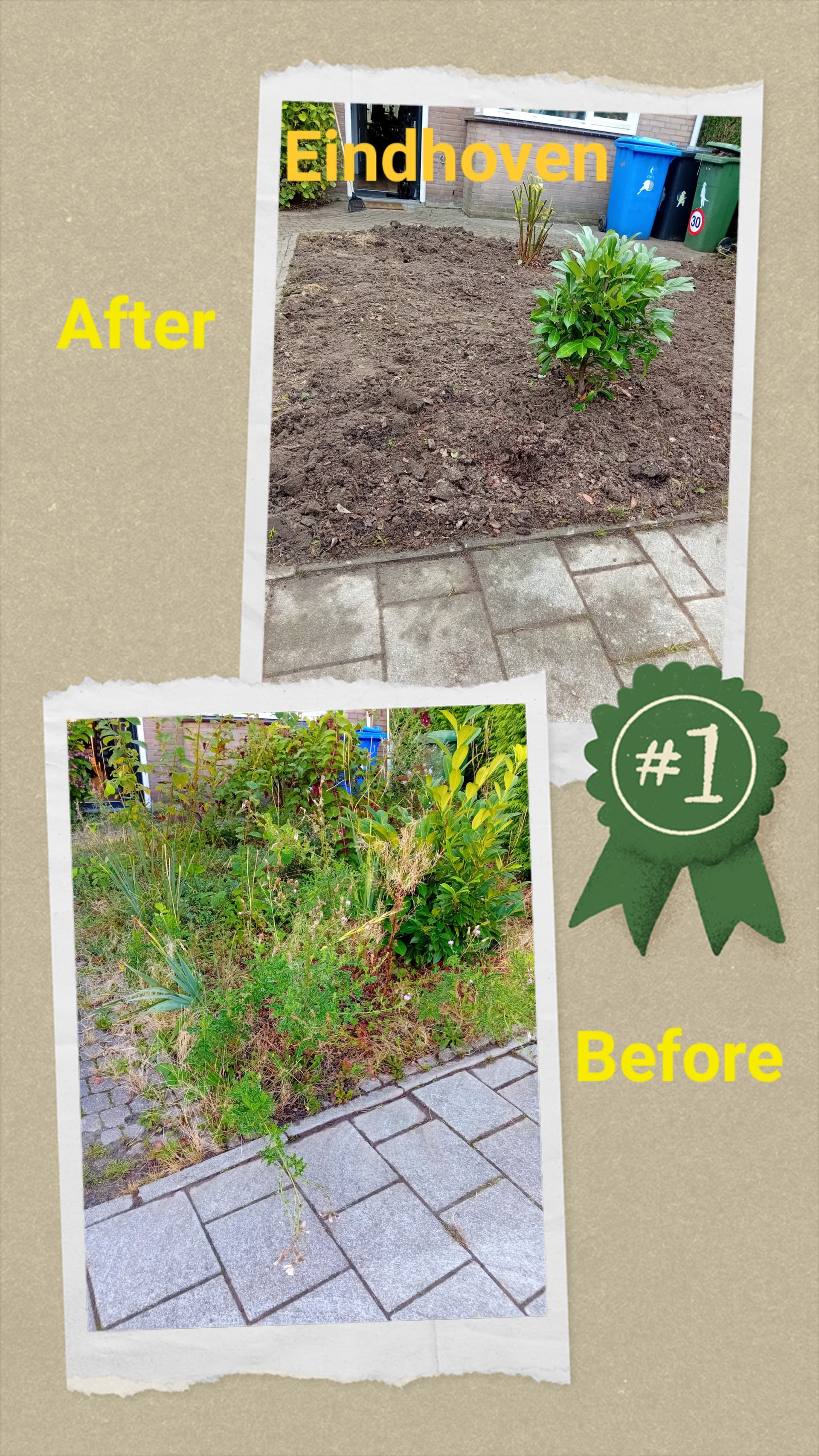 Tuinonderhoud - afbeelding 1